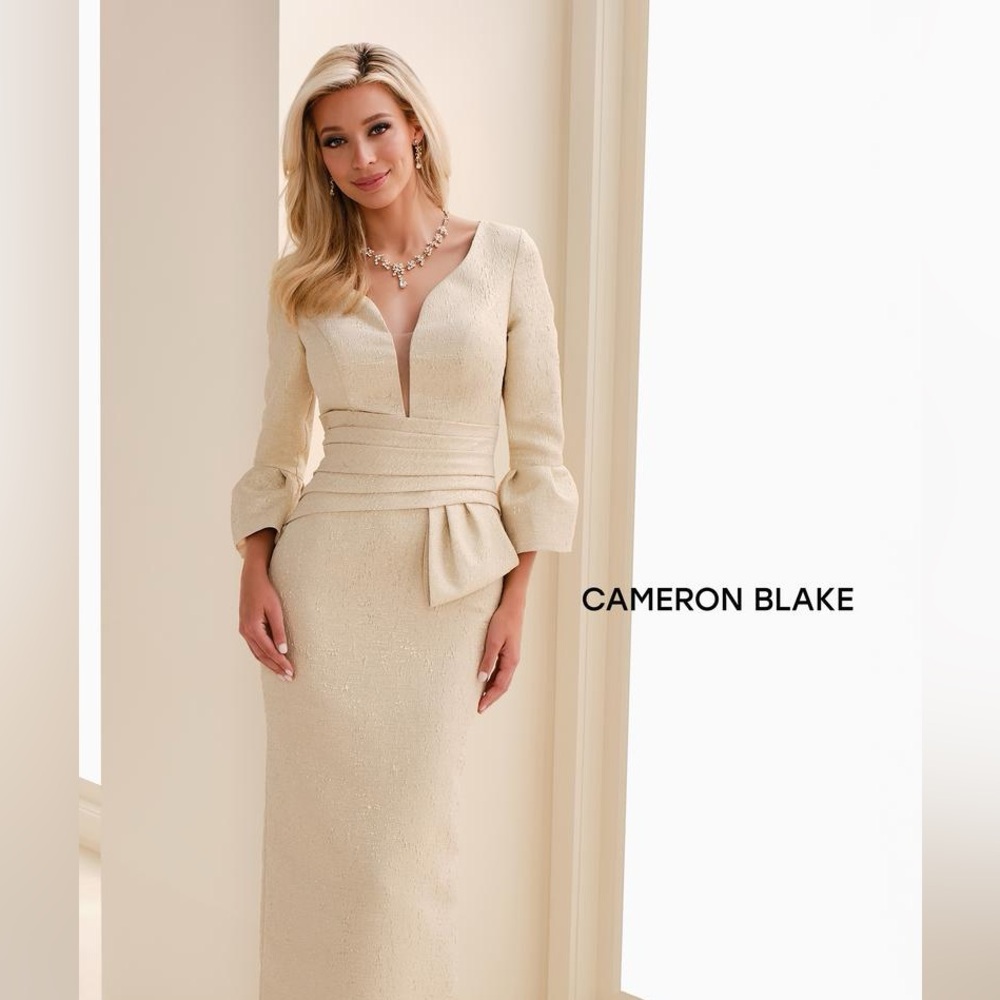 BRAND NEW Cameron Blake Gown